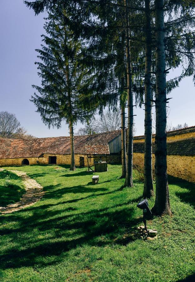 Casa Kraus Otel Crit Dış mekan fotoğraf