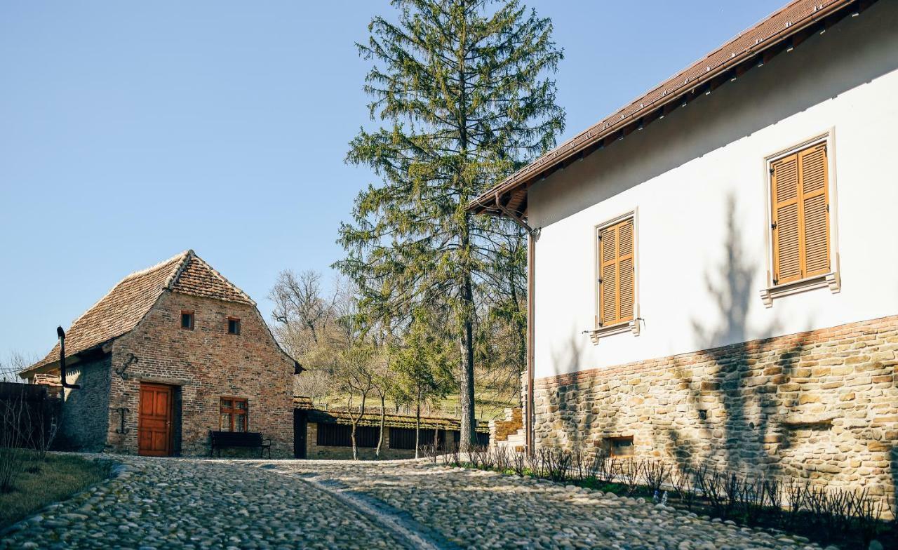 Casa Kraus Otel Crit Dış mekan fotoğraf