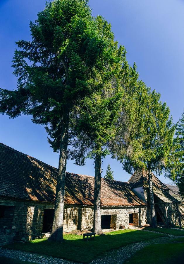 Casa Kraus Otel Crit Dış mekan fotoğraf