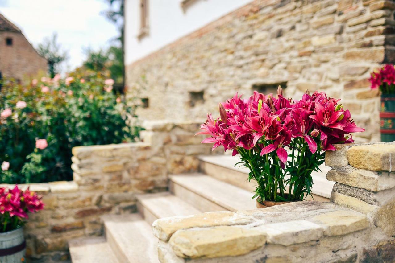 Casa Kraus Otel Crit Dış mekan fotoğraf
